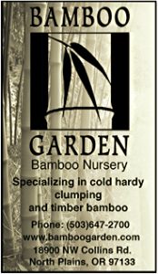 Bamboo Garden Bamboo Nursery